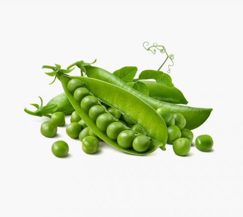 The amount of Green Peas Bought in Recent Months