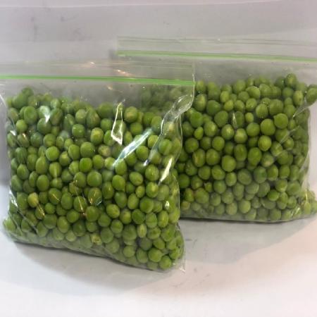 Green peas packets at Wholesale price