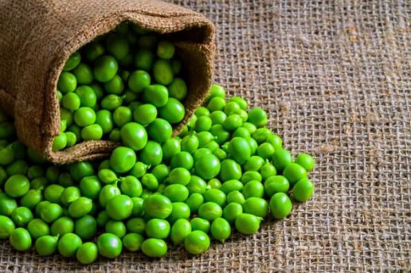 How To Export Bulk Pea to the Middle East Countries 